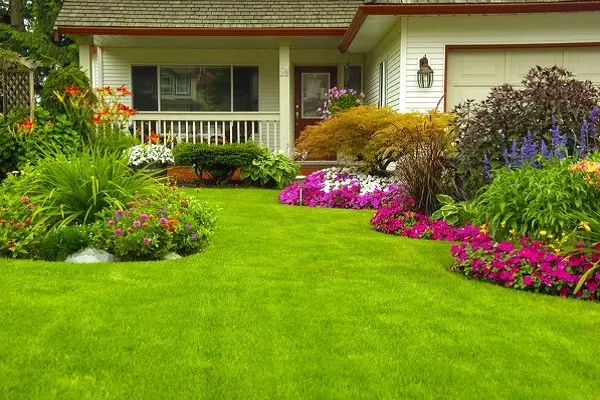 Front Yard Landscaping