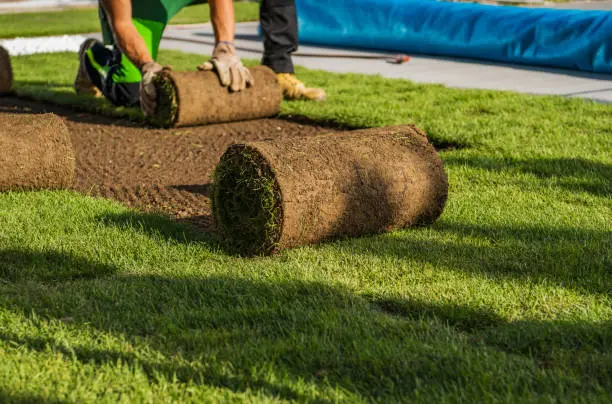 How long after installing sod can you walk on it in Davenport, IA