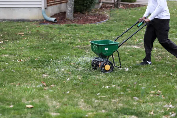 How often should you fertilize your lawn in Davenport, IA