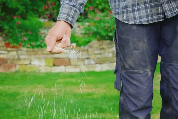 How often should you fertilize your lawn in Davenport, IA