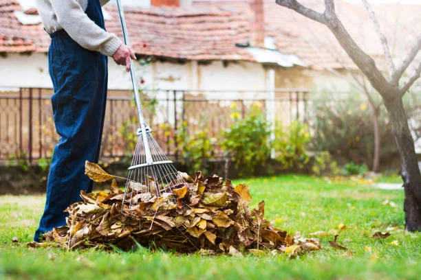 How to clean a backyard in Davenport, IA