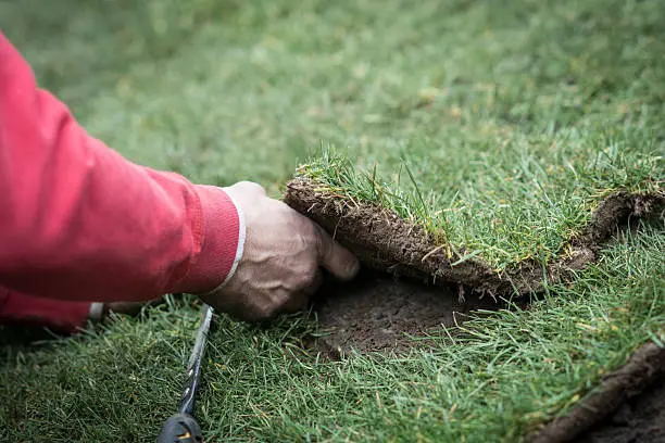 How to lay sod over existing lawn in Davenport, IA