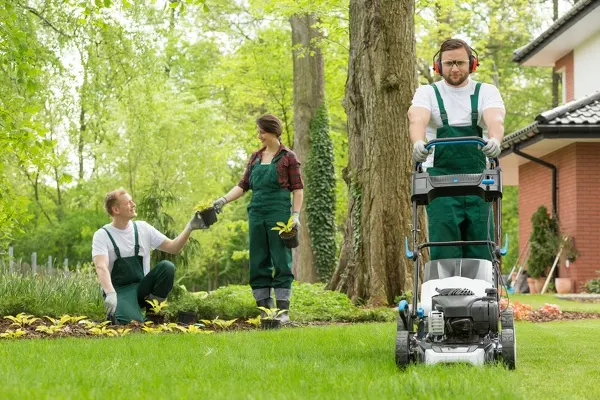 Landscaping Company in Davenport, IA