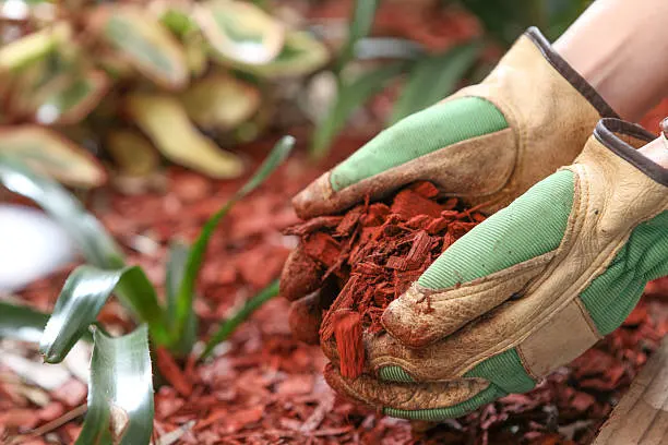 Mulching in Davenport, IA