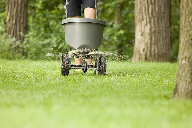 Quality Lawn Fertilization in Davenport, IA