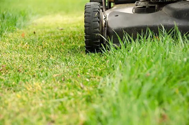 Quality Lawn Mowing in Davenport, IA