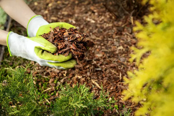 Quality Mulching in Davenport, IA