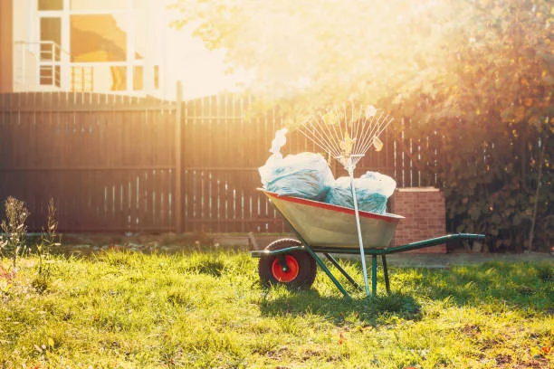 Quality Yard Cleanup in Davenport, IA