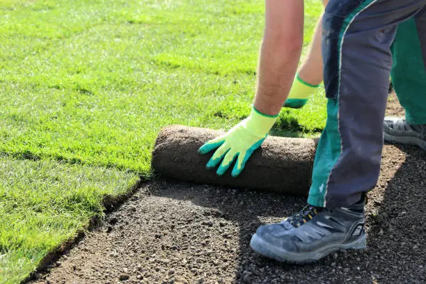 Sod Installation in Davenport, IA