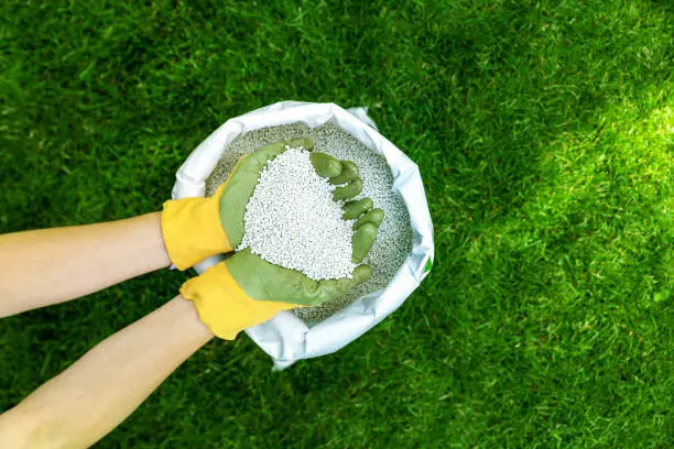 When is the best time to fertilize your lawn in Davenport, IA